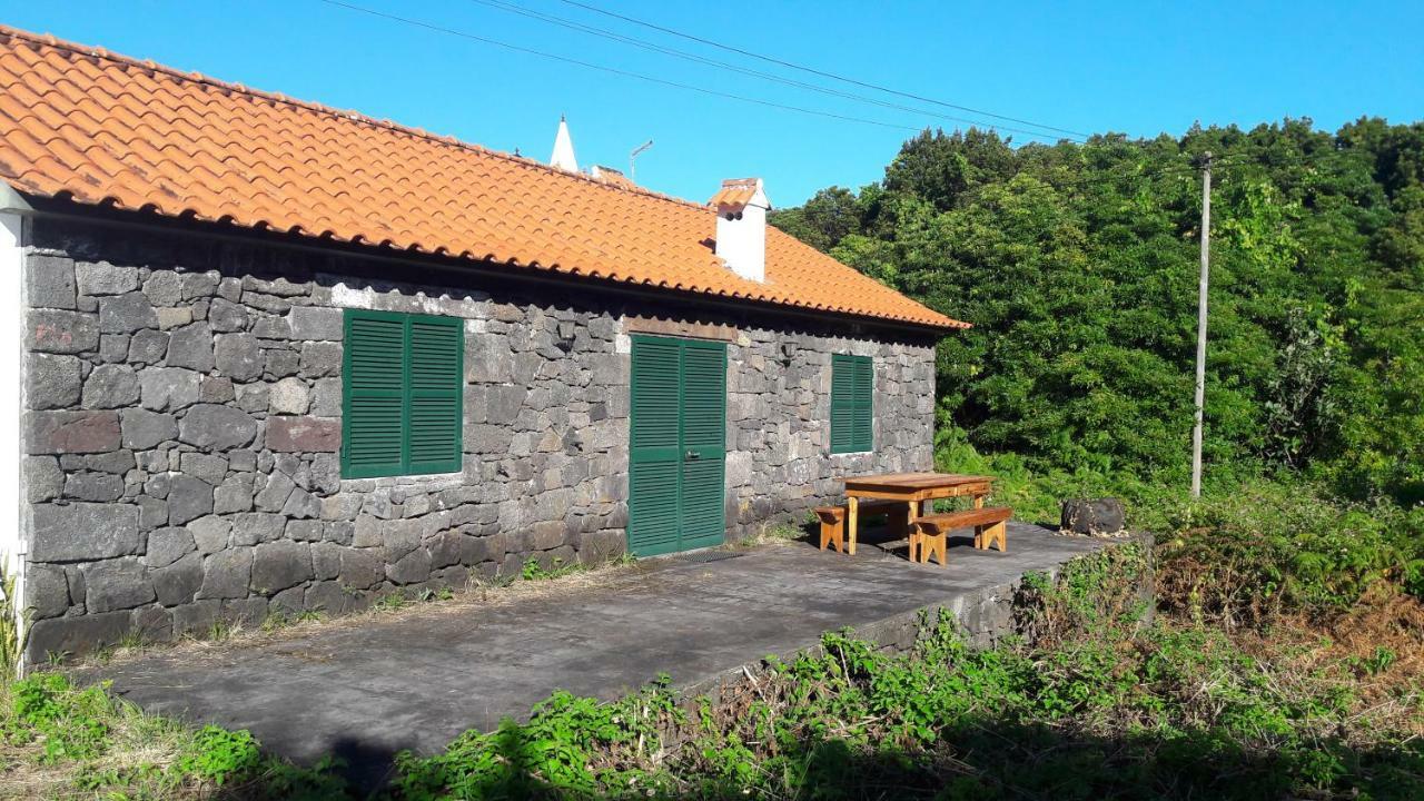 Azores Hibiscus House - Mountain And Sea Сан-Роки-ду-Пику Экстерьер фото